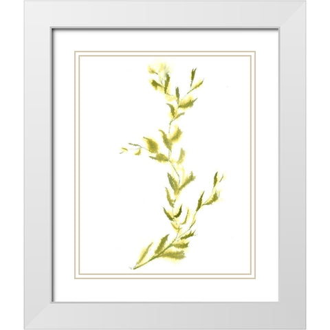 Vine IV White Modern Wood Framed Art Print with Double Matting by Shefranov, Olga
