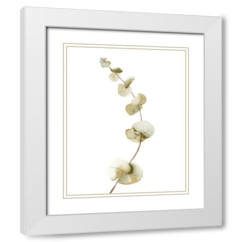 Botanical II White Modern Wood Framed Art Print with Double Matting by Shefranov, Olga