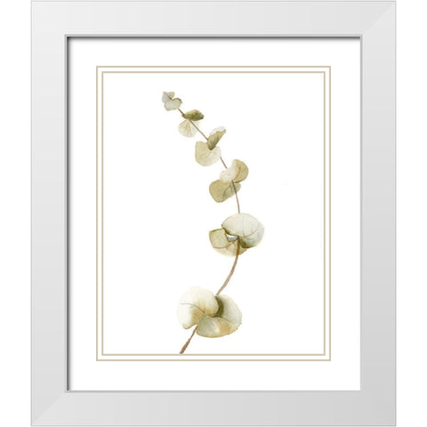 Botanical II White Modern Wood Framed Art Print with Double Matting by Shefranov, Olga
