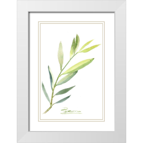 Botanical III White Modern Wood Framed Art Print with Double Matting by Shefranov, Olga