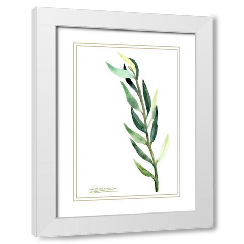 Botanical IV White Modern Wood Framed Art Print with Double Matting by Shefranov, Olga