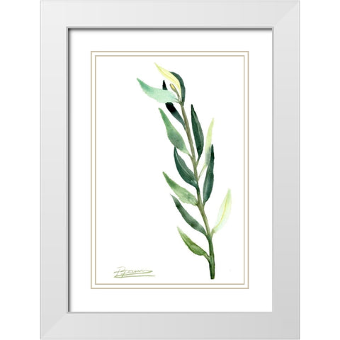 Botanical IV White Modern Wood Framed Art Print with Double Matting by Shefranov, Olga