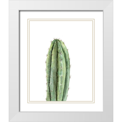 Cactus III White Modern Wood Framed Art Print with Double Matting by Shefranov, Olga
