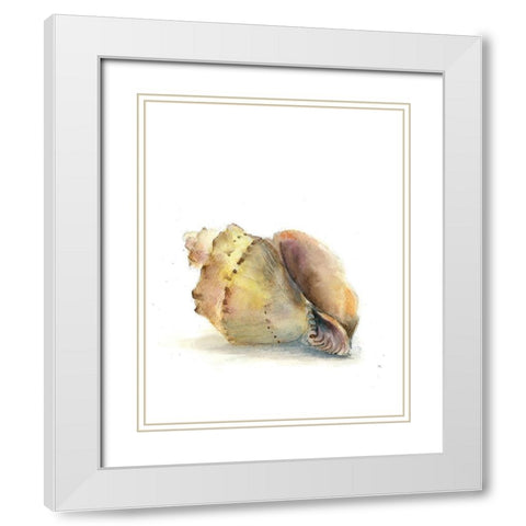 Shell II White Modern Wood Framed Art Print with Double Matting by Shefranov, Olga