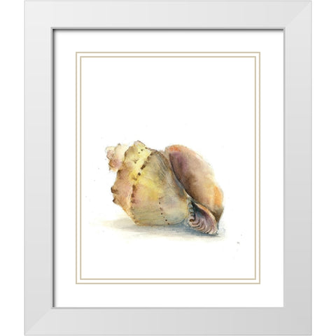 Shell II White Modern Wood Framed Art Print with Double Matting by Shefranov, Olga