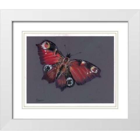 Soar White Modern Wood Framed Art Print with Double Matting by Shefranov, Olga