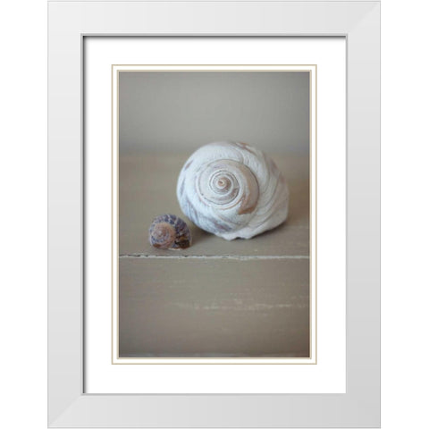 Shells on Beige I White Modern Wood Framed Art Print with Double Matting by P.S. Art Studios
