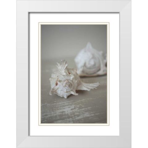 Shell Duo White Modern Wood Framed Art Print with Double Matting by P.S. Art Studios