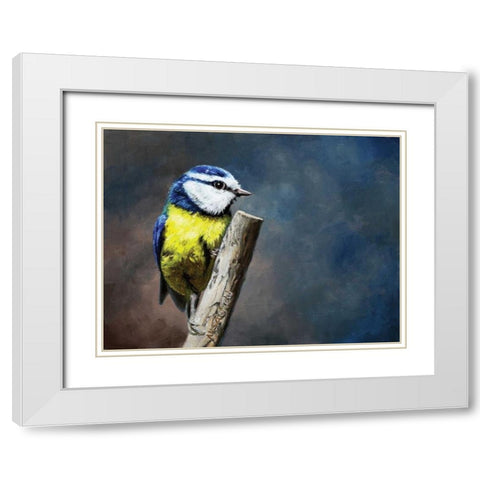 Overwatch Bird White Modern Wood Framed Art Print with Double Matting by P.S. Art Studios