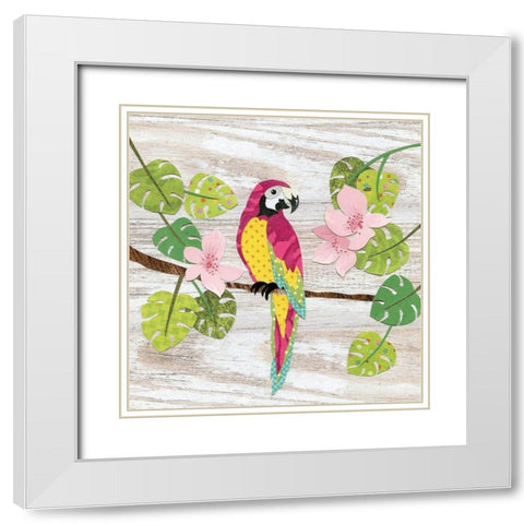 Parrott White Modern Wood Framed Art Print with Double Matting by P.S. Art
