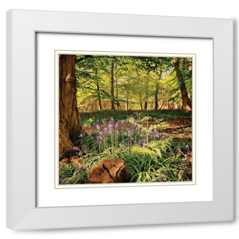 Forest White Modern Wood Framed Art Print with Double Matting by P.S. Art