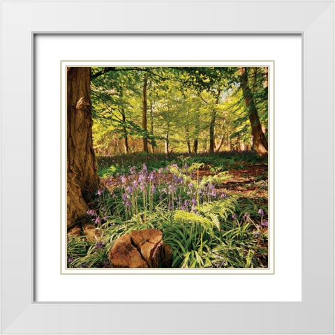 Forest White Modern Wood Framed Art Print with Double Matting by P.S. Art