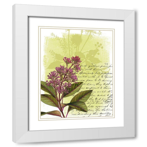 Floral Collage V White Modern Wood Framed Art Print with Double Matting by P.S. Art