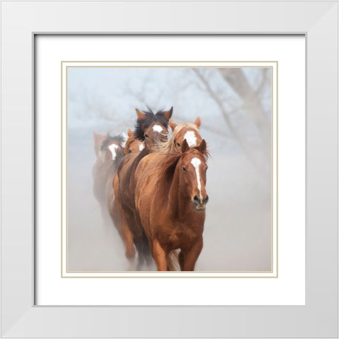 Follow the Leader White Modern Wood Framed Art Print with Double Matting by PBurchettPhoto