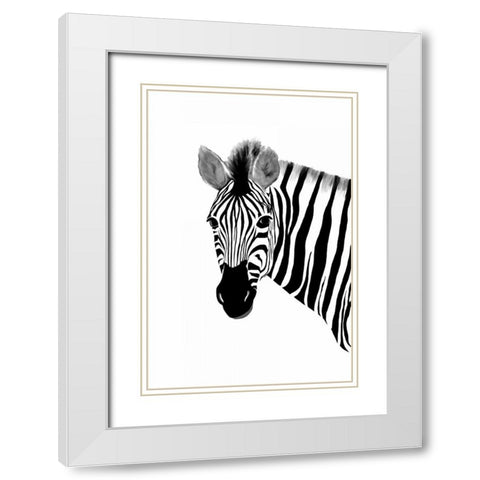 Zack a Zebra White Modern Wood Framed Art Print with Double Matting by Murdock, Ramona