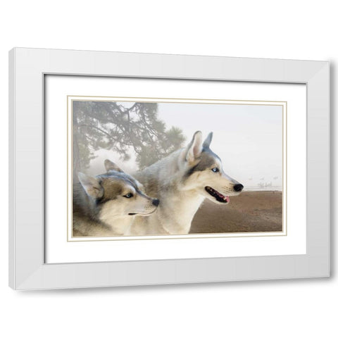 Ready for the Chase White Modern Wood Framed Art Print with Double Matting by Murdock, Ramona