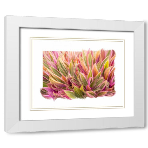 Snake Plant White Modern Wood Framed Art Print with Double Matting by Murdock, Ramona