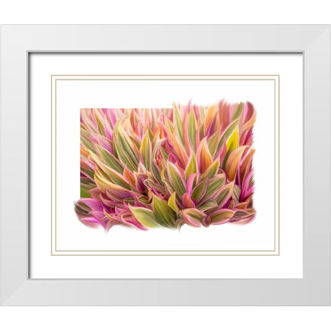 Snake Plant White Modern Wood Framed Art Print with Double Matting by Murdock, Ramona