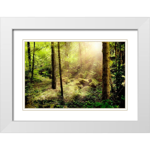 Sunshine from Above White Modern Wood Framed Art Print with Double Matting by Murdock, Ramona