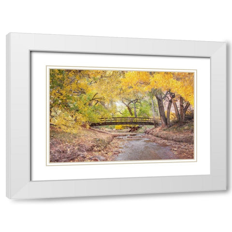Teasdale Bridge White Modern Wood Framed Art Print with Double Matting by Murdock, Ramona
