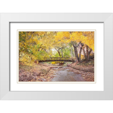 Teasdale Bridge White Modern Wood Framed Art Print with Double Matting by Murdock, Ramona