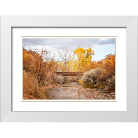 Bridge in Teasdale White Modern Wood Framed Art Print with Double Matting by Murdock, Ramona