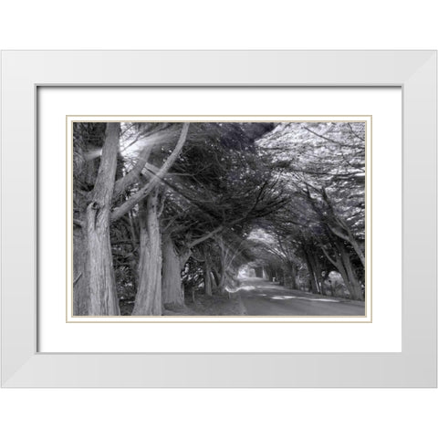 Spooky White Modern Wood Framed Art Print with Double Matting by Murdock, Ramona