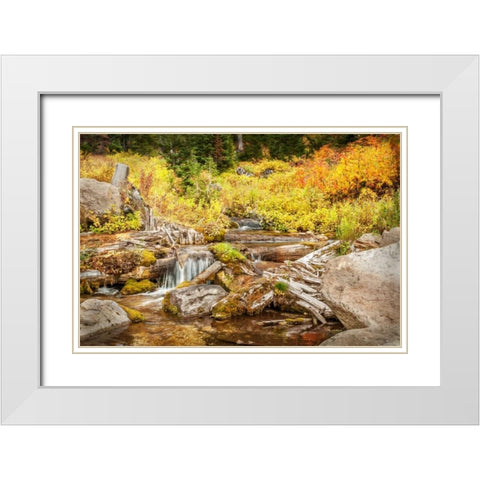 Alpine Waterfall White Modern Wood Framed Art Print with Double Matting by Murdock, Ramona