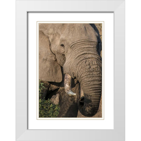 The Big Boss White Modern Wood Framed Art Print with Double Matting by Murdock, Ramona