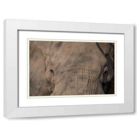 Nellie Phant White Modern Wood Framed Art Print with Double Matting by Murdock, Ramona