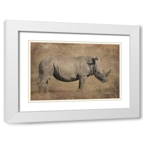 Tank White Modern Wood Framed Art Print with Double Matting by Murdock, Ramona