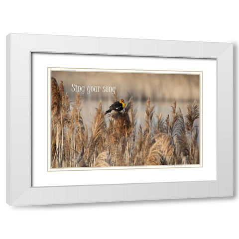 Sing II White Modern Wood Framed Art Print with Double Matting by Murdock, Ramona