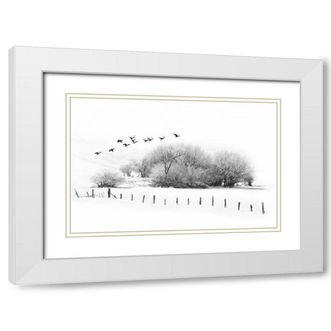 Frosty Flight White Modern Wood Framed Art Print with Double Matting by Murdock, Ramona