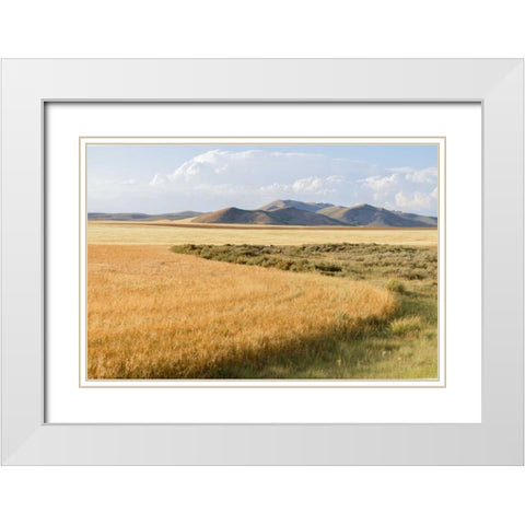 Harvest White Modern Wood Framed Art Print with Double Matting by Murdock, Ramona