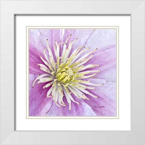 Clematis White Modern Wood Framed Art Print with Double Matting by Murdock, Ramona