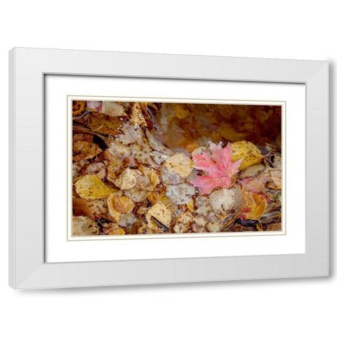 The Last Leaf White Modern Wood Framed Art Print with Double Matting by Murdock, Ramona