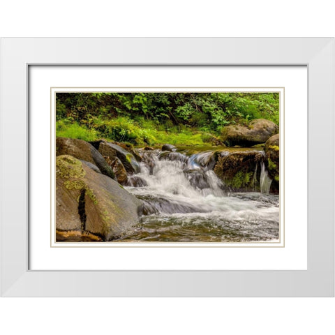 Mountain Stream White Modern Wood Framed Art Print with Double Matting by Murdock, Ramona