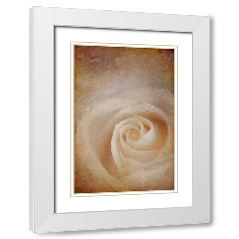 Faded Rose White Modern Wood Framed Art Print with Double Matting by Murdock, Ramona