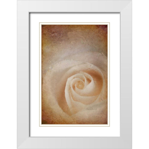 Faded Rose White Modern Wood Framed Art Print with Double Matting by Murdock, Ramona