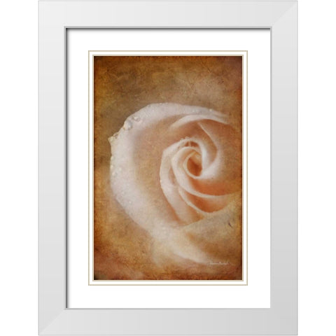 Essence of Rose White Modern Wood Framed Art Print with Double Matting by Murdock, Ramona
