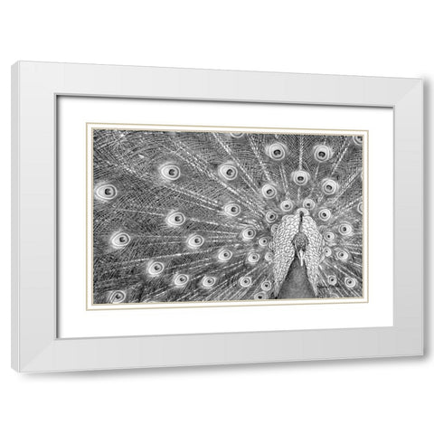 Peacock White Modern Wood Framed Art Print with Double Matting by Murdock, Ramona
