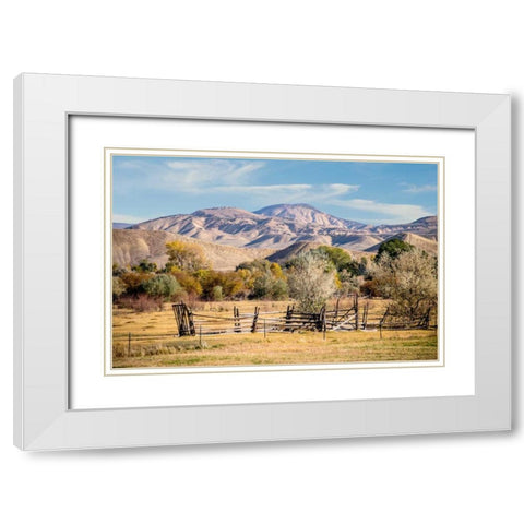 Old Fence White Modern Wood Framed Art Print with Double Matting by Murdock, Ramona
