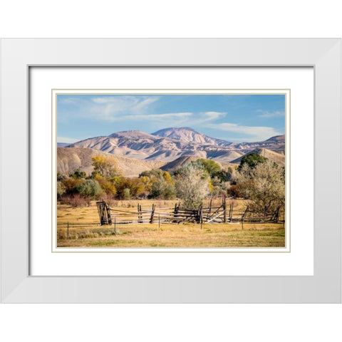 Old Fence White Modern Wood Framed Art Print with Double Matting by Murdock, Ramona