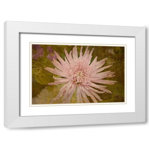 Heirloom Pink White Modern Wood Framed Art Print with Double Matting by Murdock, Ramona