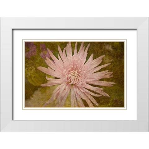 Heirloom Pink White Modern Wood Framed Art Print with Double Matting by Murdock, Ramona