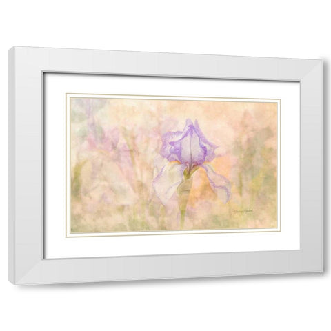 Iris in My Garden White Modern Wood Framed Art Print with Double Matting by Murdock, Ramona