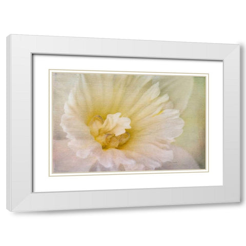 Daffodil Heart White Modern Wood Framed Art Print with Double Matting by Murdock, Ramona