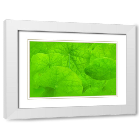 Spring Green II White Modern Wood Framed Art Print with Double Matting by Murdock, Ramona