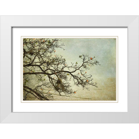 Branches White Modern Wood Framed Art Print with Double Matting by Murdock, Ramona