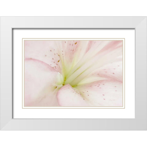 Lily Centered White Modern Wood Framed Art Print with Double Matting by Murdock, Ramona